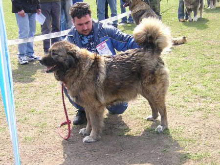 445838_87200.jpg