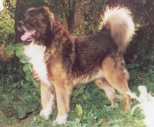 445840_54873.JPG