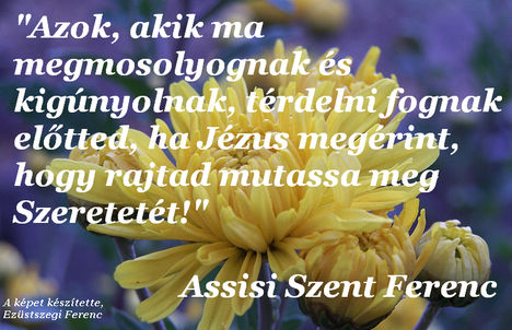 Assisi Szent Ferenc - idézet (01)