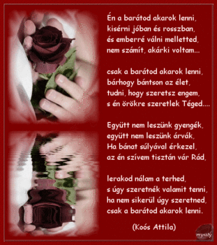 Én a barátod akarok lenni!