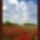 Harmonia_szepseg_a_termeszetben_1-001_445412_32418_t
