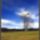 Harmonia_szepseg_a_termeszetben_12_445423_42673_t