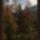 Harmonia_szepseg_a_termeszetben_17_445402_64310_t
