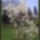 Harmonia_szepseg_a_termeszetben_18-001_445429_38886_t
