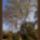 Harmonia_szepseg_a_termeszetben_1_445386_86965_t