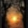 Harmonia_szepseg_a_termeszetben_21-001_445432_61669_t