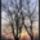 Harmonia_szepseg_a_termeszetben_22-001_445433_50829_t