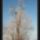 Harmonia_szepseg_a_termeszetben_23_445408_66534_t