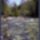 Harmonia_szepseg_a_termeszetben_25-001_445436_54376_t
