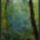 Harmonia_szepseg_a_termeszetben_25_445410_54646_t