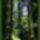 Harmonia_szepseg_a_termeszetben_26-001_445437_75128_t