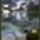Harmonia_szepseg_a_termeszetben_26_445411_90856_t