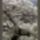 Harmonia_szepseg_a_termeszetben_27_445438_68095_t