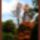Harmonia_szepseg_a_termeszetben_28_445439_69244_t
