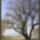 Harmonia_szepseg_a_termeszetben_33_445444_59773_t