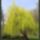 Harmonia_szepseg_a_termeszetben_9-001_445420_28152_t