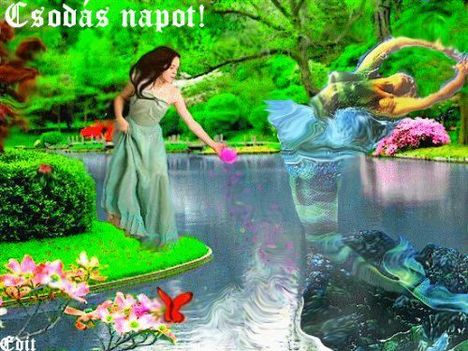 Szép napot...