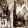 Er6uert6rtfgf_446172_68986_t