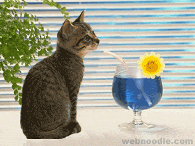 Cica iszik vagy cicát isszák??