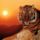 Tigris001k_447602_46146_t