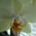 Viragok_12_447794_36427_t