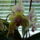 Viragok_2-001_447815_94930_t