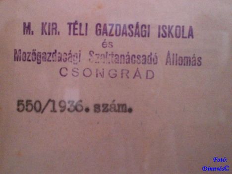 CIMG6547