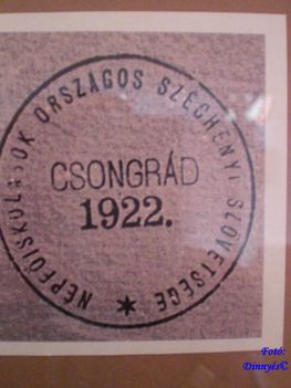 CIMG6549