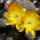 Ssa50054_448091_64535_t