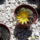 Ssa50055_448092_93990_t