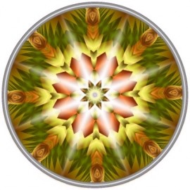 mandala 53