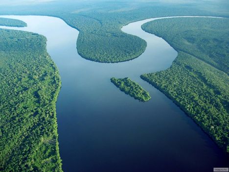 Negro-folyó, Amazonas