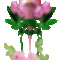 rózsa gyertyával