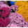 Viragok_449017_60465_t