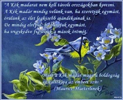 A kékmadár