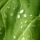 Egyszerumegis_szep_kep_13_404226_72540_t