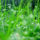 Egyszerumegis_szep_kep_14_404227_66220_t