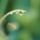 Egyszerumegis_szep_kep_17_404230_95594_t