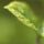 Egyszerumegis_szep_kep_20_404233_59149_t