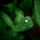 Egyszerumegis_szep_kep_21_404234_98569_t