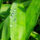 Egyszerumegis_szep_kep_2_404215_98750_t