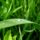 Egyszerumegis_szep_kep_4_404217_95558_t