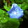 Egyszerumegis_szep_kep_6_404219_14998_t