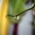 Egyszerumegis_szep_kep_7_404220_53208_t