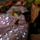 Egyszerumegis_szep_kep_8_404221_46053_t