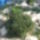 Kepek20091008_044_404077_59850_t