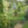 Kepek20091008_048_404079_83179_t
