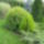 Kepek20091008_056_404081_54589_t