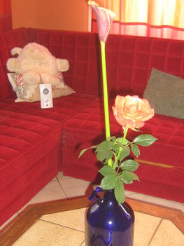képek20091008 066