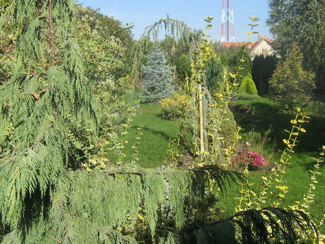 képek20091008 075